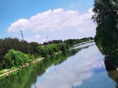 -马家湾湿地公园
