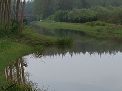 -黄海国家森林公园