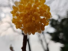 -白塘生态植物园