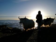 -青海湖国家重点风景名胜区售票处