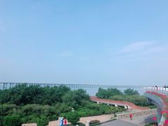 -宝安西湾红树林湿地公园