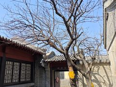 -清风小镇闯关东影视基地