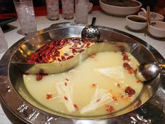 鸳鸯锅-DaLongYi Hotpot - 大龙燚火锅 - 地道四川老火锅
