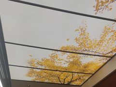 -京味斋·烤鸭·北京菜(安贞店)