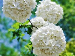 -大龙山(地铁站)