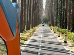 -黄海国家森林公园