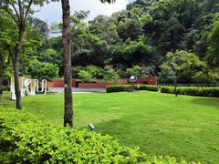 -香港大学