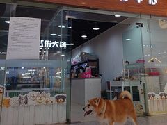 -乐宠宠物店(世纪金源店)