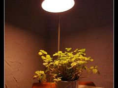 -Babycat私家御饼屋(龙头路一店)