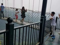 -梦幻奥陶纪景区