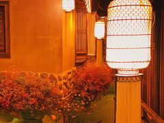 -叶叶菩提·晋福宫