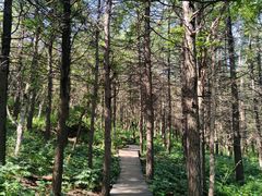 -白草畔自然风景区