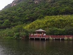 -广州市流溪河国家森林公园