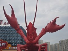 -虾皇(龙虾城旗舰店)