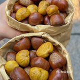 南京超好吃的板栗｜来自秋天的仪式感