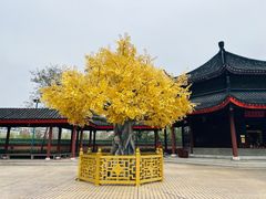 -广东圆玄道观