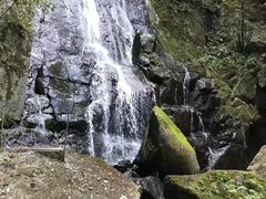 -藏龙百瀑风景区