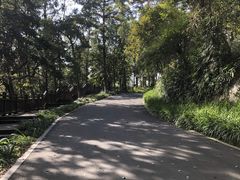 -常德桃花源景区