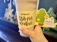 -猫的魔法密林(衣裳街店)