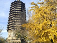 -玲珑塔公园
