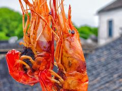 -小陆莲花蟹园农家乐(莲花岛店)