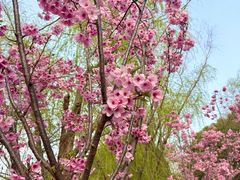 -梁鸿国家湿地公园