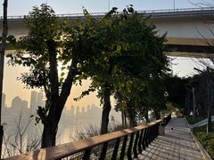 -重庆市江北嘴中央商务区中央公园