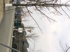 -国际非物质文化遗产博览园
