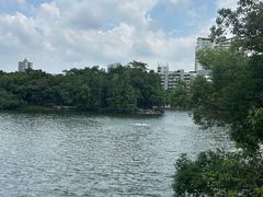 -荔湾湖公园