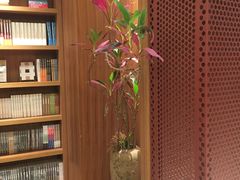 -二酉书店TOYOU BOOKS