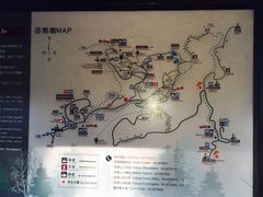 -阿里山神木遗迹