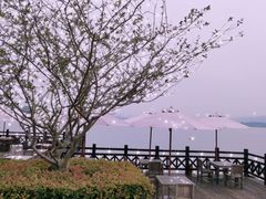 -望海·帆船主题咖啡厅•品茗下午茶(石湖景区店)