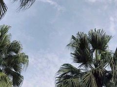 -重庆海昌加勒比海水世界