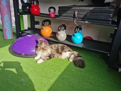 -BD健身私教工作室(CBD店)