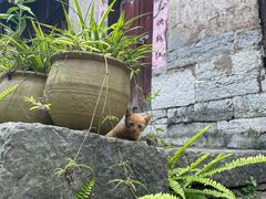 -高荡千年布依古寨旅游景区