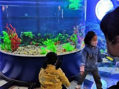 -浙江省科技馆