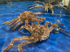 -江杨农产品批发市场