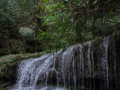-龙苍沟森林公园