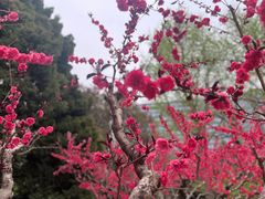 -月坛公园