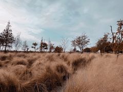 -嘉北郊野公园