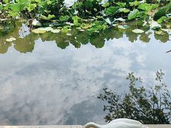 -成都大熊猫繁育研究基地