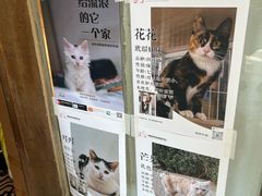 -卷耳咖啡