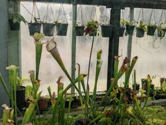 -国家植物园南园