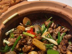 -八府香鸭·啫啫煲(华山路店)