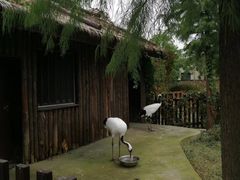 -上方山森林动物世界