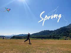 -风云岭森林公园