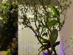 -驻海渔市(置信店)