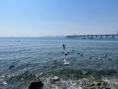 -银沙滩浴场