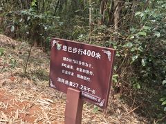 -孔雀湖生态旅游区