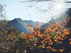 -秦岭风景区